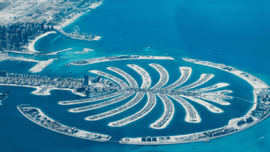Palm Jumeirah to Burj Views