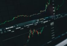 crypto trends and insights
