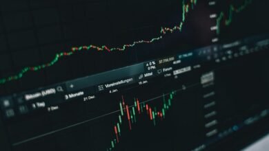 crypto trends and insights