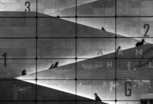 shadow line identification number