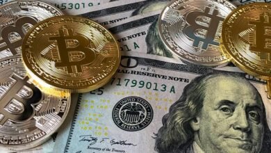 wealth creation strategies revealed