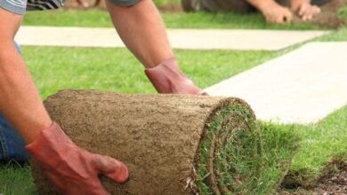 Your Lawn