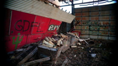 Why You Should Hire Pros for Shed Demolition and Removal