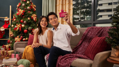 A Beginner's Guide To Selecting the Perfect Christmas Tree for Your Home