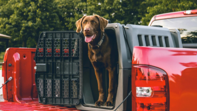 Discover the Durability of Aluminum Truck Beds: A Game Changer for Tradespeople