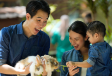 Family Day Out at Farm in the City with Easy Ticket Tips