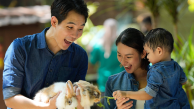 Family Day Out at Farm in the City with Easy Ticket Tips