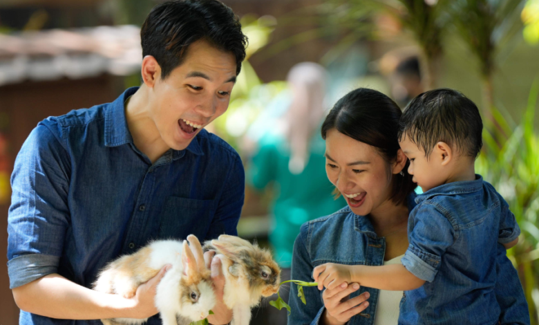 Family Day Out at Farm in the City with Easy Ticket Tips